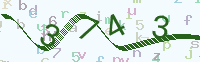Code überprüfen